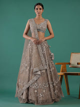 Beige net embellished lehenga choli for wedding functions