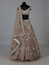 Beige net embellished lehenga choli for wedding functions
