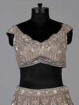 Beige net embellished lehenga choli for wedding functions