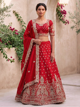 Red raw silk bridal lehenga choli with bird motifs