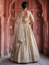 Beige embroidered chanderi silk lehenga choli