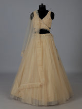 Beige designer net embroidered lehenga choli