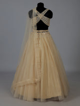 Beige designer net embroidered lehenga choli