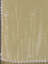 Classic cream tissue silk saree for party and reception wear