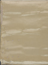 Classic white tissue silk saree with contrast border for women