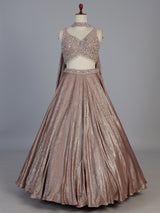 Onion pink tissue silk party wear lehenga choli look