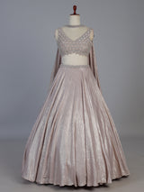 Baby pink tissue silk choker festive lehenga choli