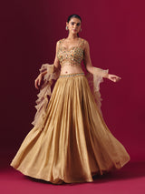 Dark beige party wear lehenga choli with ruffle dupatta