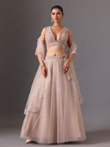 Beige net designer lehenga choli with elegant dupatta glamour style