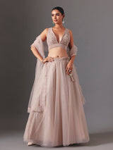 Beige net designer lehenga choli with elegant dupatta glamour style