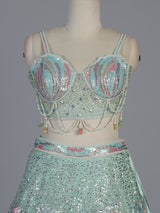Pista net embellished statement lehenga choli