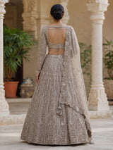 Beige net designer lehenga choli with diamond work embellishments