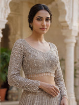 Beige net designer lehenga choli with diamond work embellishments