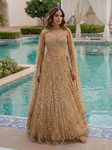 Dark beige net stone embellished festive lehenga choli