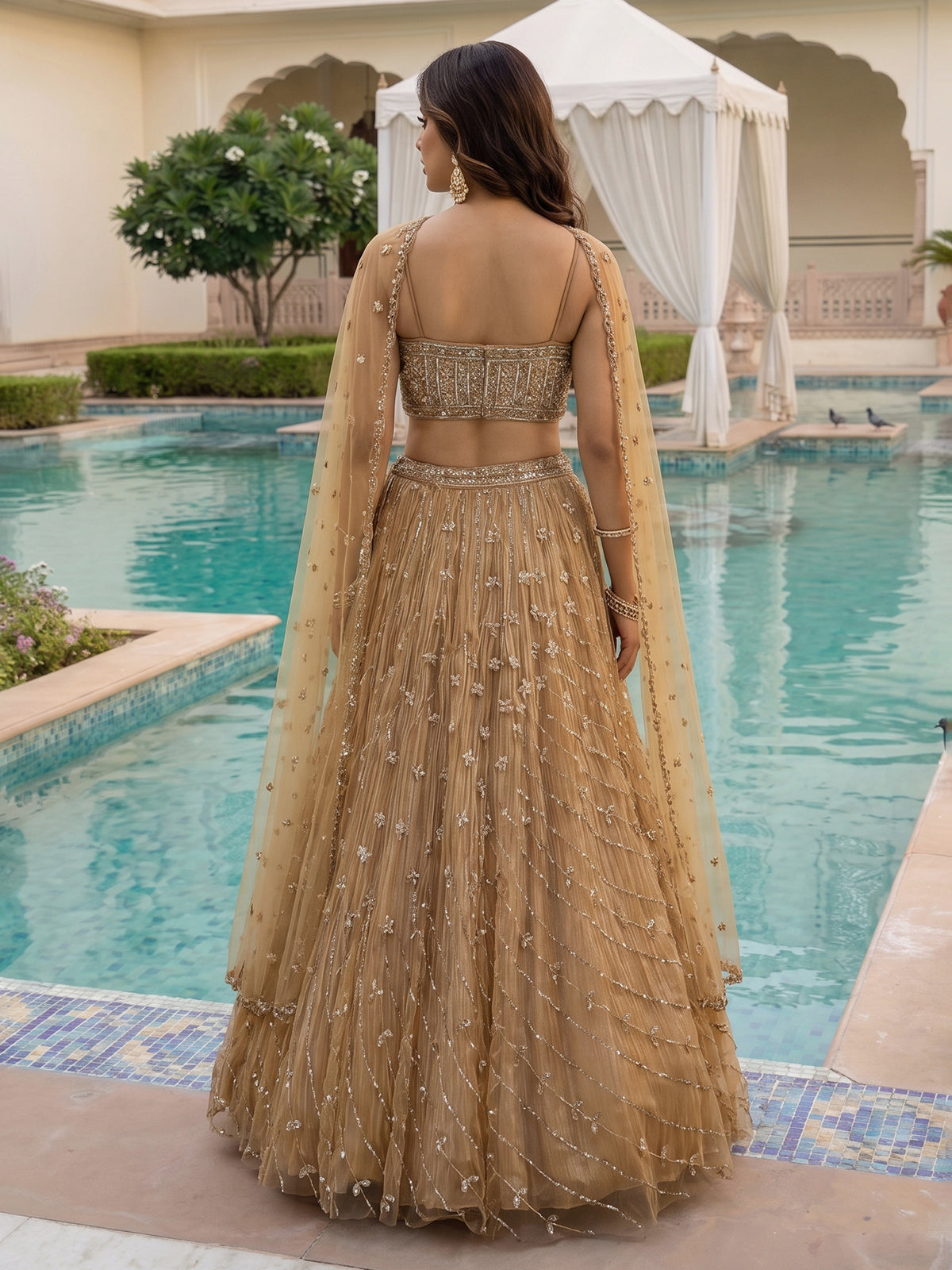 Dark beige net stone embellished festive lehenga choli