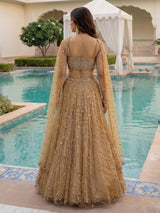 Dark beige net stone embellished festive lehenga choli