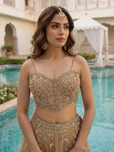 Dark beige net stone embellished festive lehenga choli