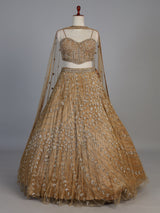 Dark beige net stone embellished festive lehenga choli