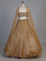 Dark beige net stone embellished festive lehenga choli