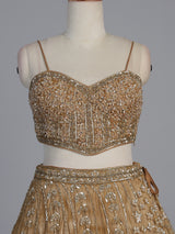 Dark beige net stone embellished festive lehenga choli