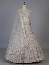 Beige floral designer net lehenga choli with dupatta