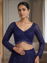 Royal blue designer net lehenga choli with elegant dupatta