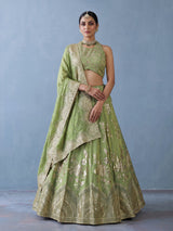Designer pista green silk bird motif lehenga choli with dupatta