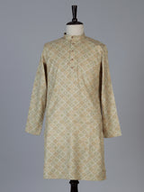Light green linen silk festive printed kurta suit for men