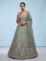 Pista green silk lehenga choli with elephant bird motifs