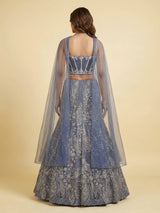 Stone grey net lehenga choli with zardosi stone embellishments