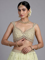 Pista green embellished chiffon lehenga choli with dupatta