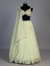 Pista green embellished chiffon lehenga choli with dupatta