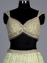 Pista green embellished chiffon lehenga choli with dupatta