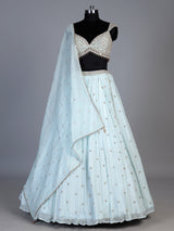 Mint blue chiffon embellished lehenga choli with dupatta