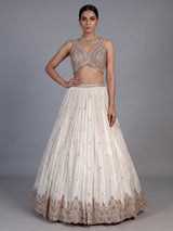 Cream silk embellished lehenga choli with elegant dupatta