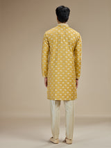 Yellow mens regal elephant banarasi kurta suit