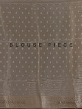 Pastel beige silk saree with delicate traditional embellishments