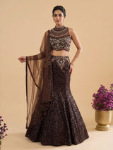 Brown womens designer shimmer lehenga choli