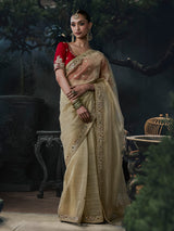 Beige women luxurious tissue organza saree