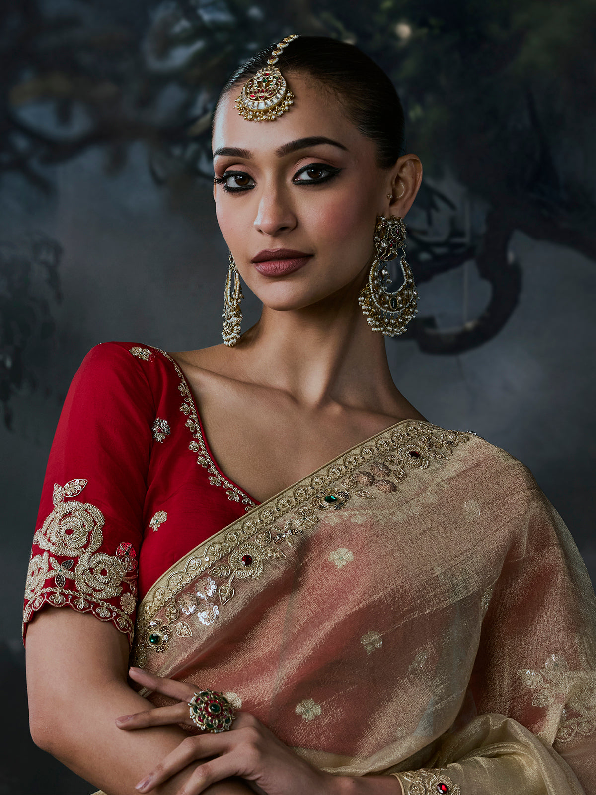Beige women luxurious tissue organza saree