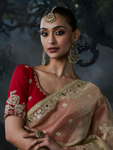 Beige women luxurious tissue organza saree