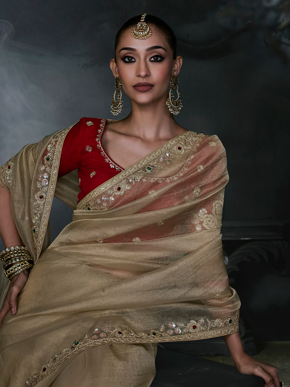 Beige women luxurious tissue organza saree