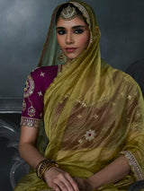 Green women zardosi tissue organza saree