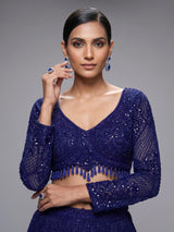 Navy blue diamond jaal designer lehenga choli for women