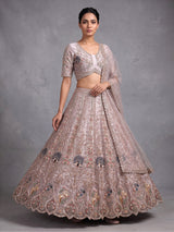 Dusty pink tissue organza unstitched lehenga choli with bird motifs
