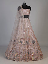 Dusty pink tissue organza unstitched lehenga choli with bird motifs