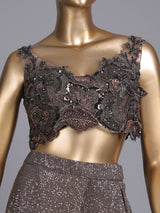 Brown designer net saree with zardosi embellished blouse detailing