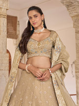 Beige tissue silk lehenga choli with embellished festive dupatta