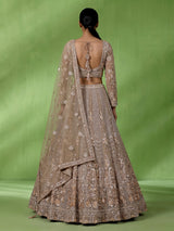 Beige elegant jharokha women lehenga choli with dupatta