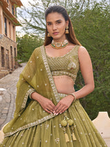 Mehendi green chiffon silk lehenga choli with dupatta